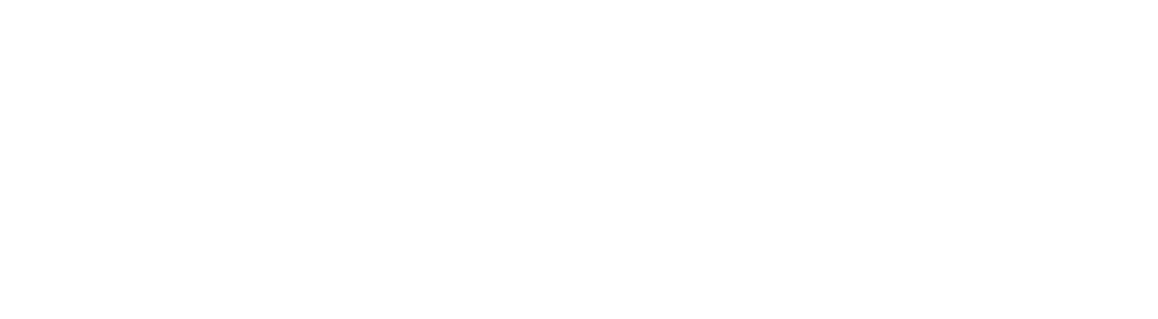 Chiron - A Medici Company